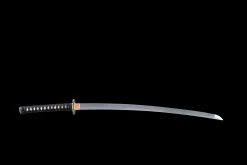 Alternative view of Ryggblad - Handsmitt Katana av 1065 kolstål