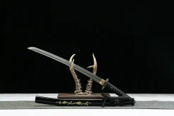 Alternative view of Golden Kirin - Handsmitt Wakizashi av Handsmitt stål